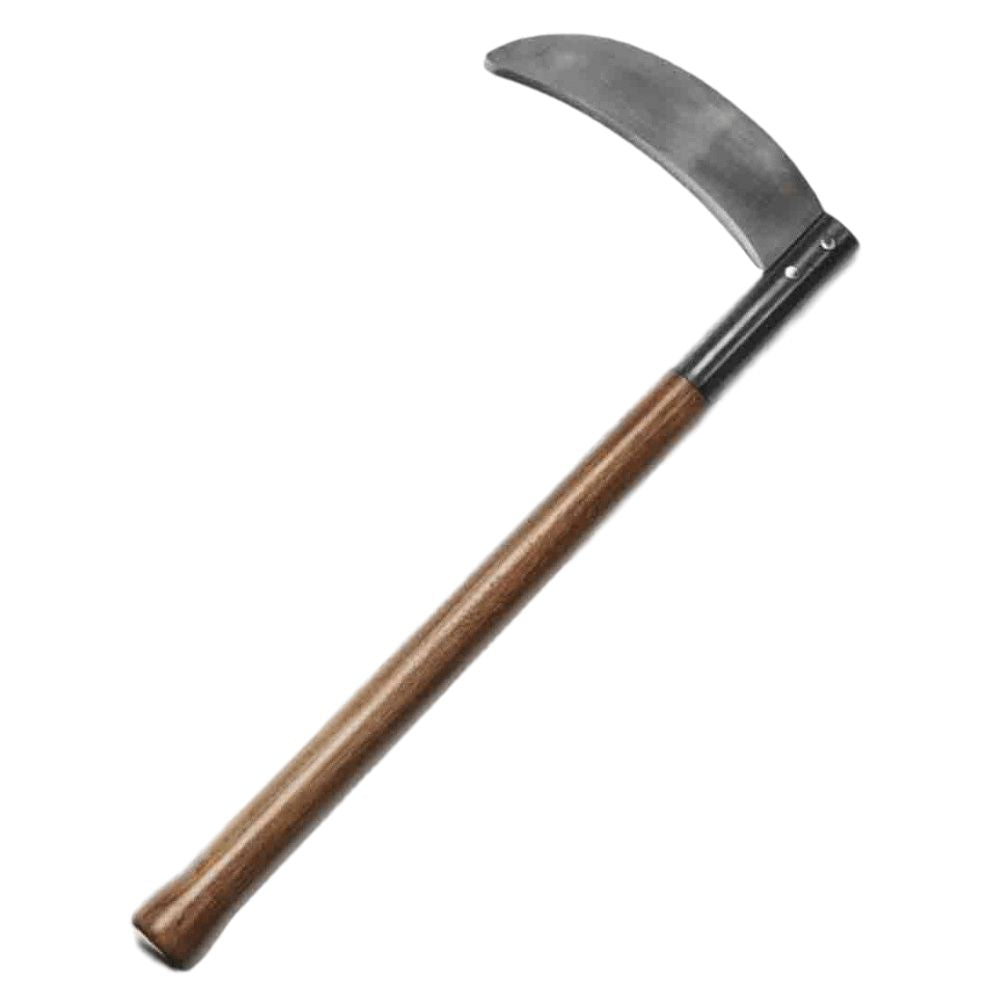 Kama Colección y Entrenamiento