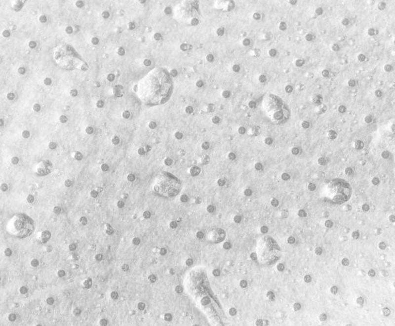 MASCARILLA Deportiva SAMTO FFP3 Pack 10 units mascarillas Protec 